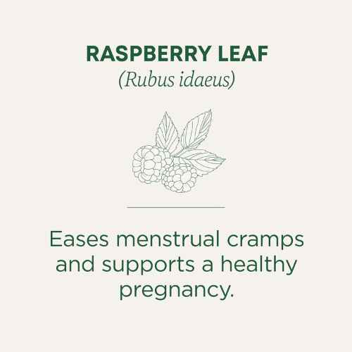 traditional medicinals tea, organic raspberry leaf, eases menstrual cramps, supports a healthy pregnancy, 16 tea bags traditional medicinals tea, organic raspberry leaf, eases menstrual cramps, supports a healthy pregnancy, 16 tea bags